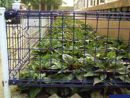 Double Circle Fence Double Circle Fence