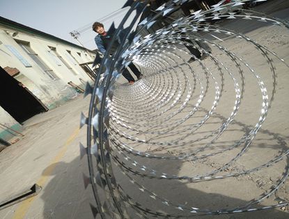 Concertina Razor Wire Concertina Razor Wire