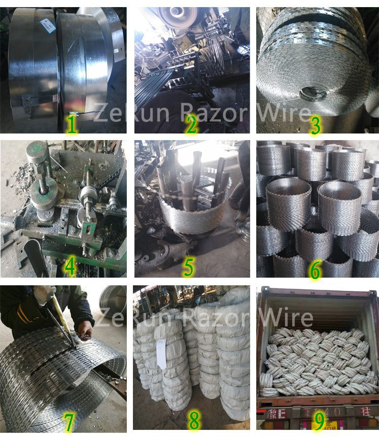 concertina razor wires china